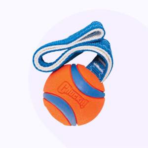 Chuckit Juguete para Perros Pelota Ultra Tug