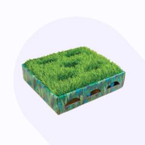 Catstages minijuego de caza con cesped