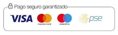 pago seguro