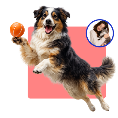 perro jugando patupet