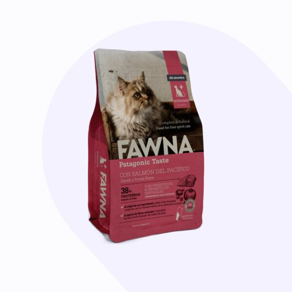 fawna-gato-esterilizado