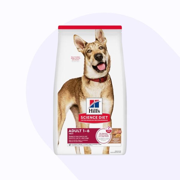 hills-adult-lamb-rice