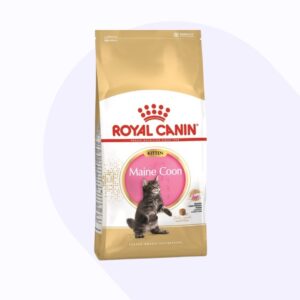 royal-canin-maine-coon-kitten