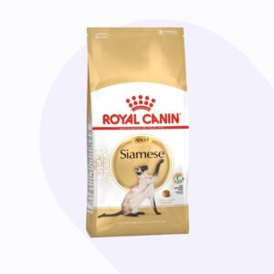royal-canin-siames-adulto
