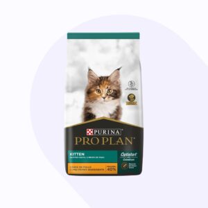 pro-plan-kitten-gato