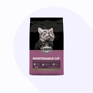 diamond-maintenance-gato-adulto