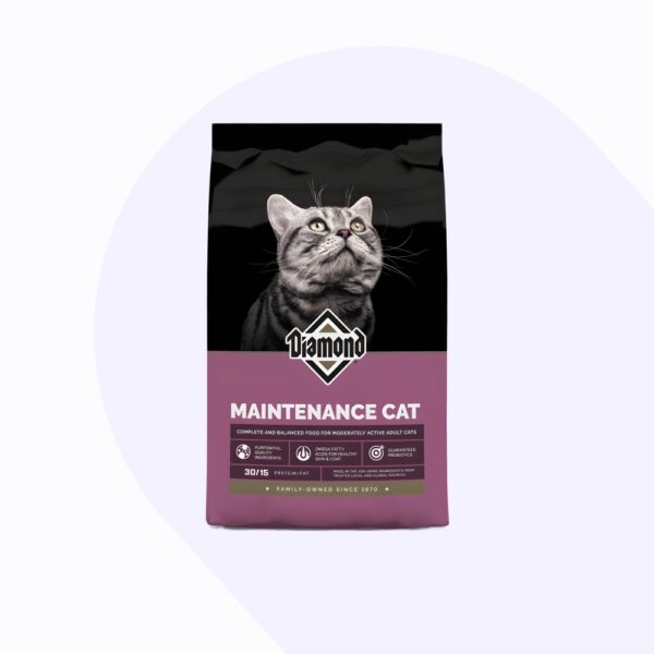 diamond-maintenance-gato-adulto