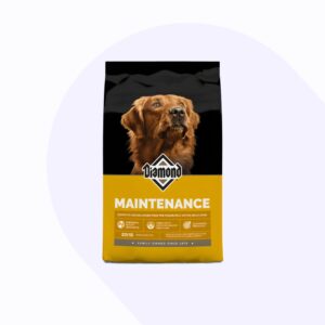 diamond-maintenance-perro-adulto