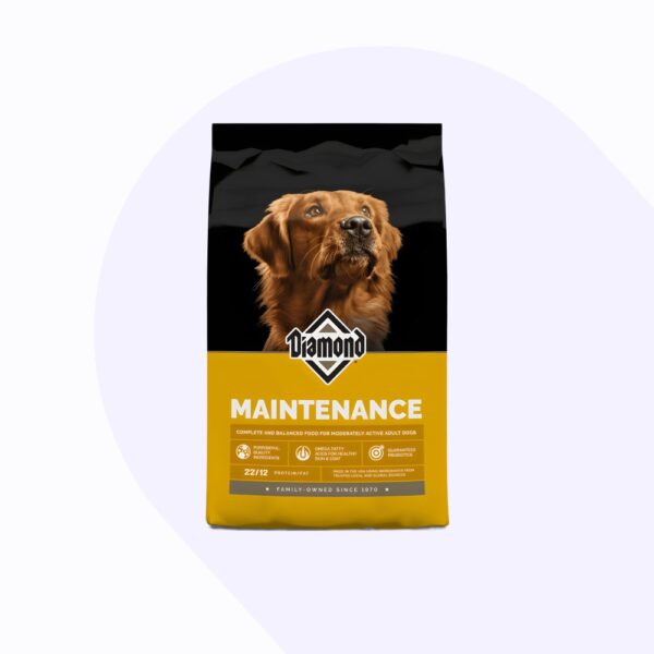 diamond-maintenance-perro-adulto