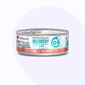 disugual-cat-recovery-lata-salmon