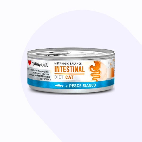 disugual-intestinal-gatos-pescado-blanco