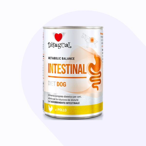 disugual-intestinal-perro-pollo