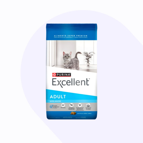 excellent-gato-adulto