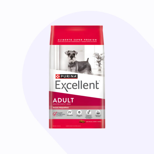 excellent-perro-adulto-razas-peque-as