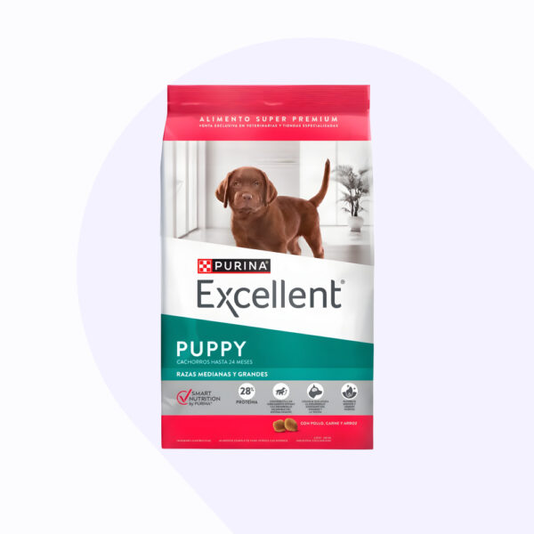 excellent-puppy-razas-medianas-y-grandes