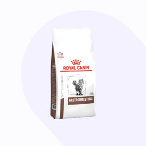 gastrointestinal-gato-2-kg
