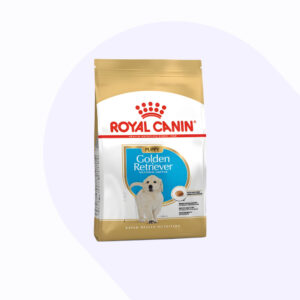 golden-retriever-puppy-12-kg