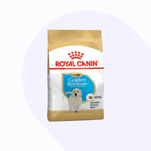 golden-retriever-puppy-12-kg