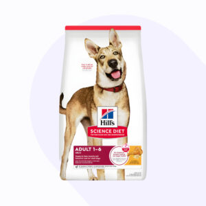 hill-s-adult-original-perro