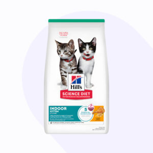 hill-s-kitten-indoor-pollo
