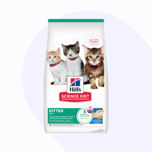 hill-s-kitten-ocean-fish