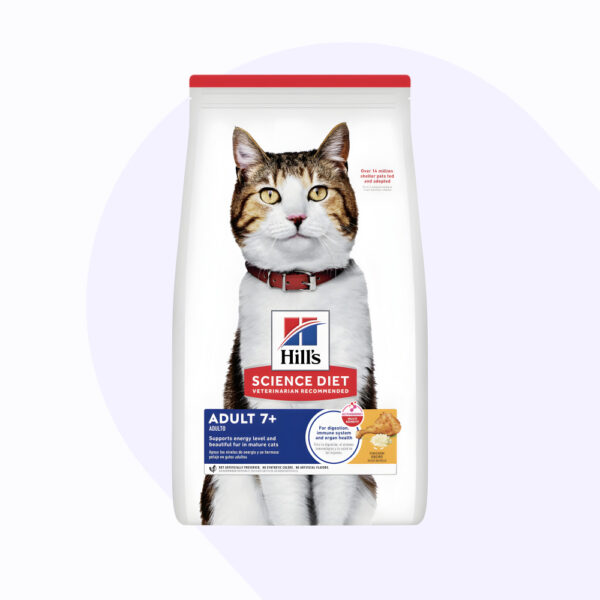 hills-gato-adulto-7-