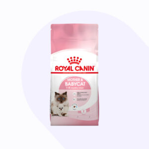 mother-babycat-2-kg