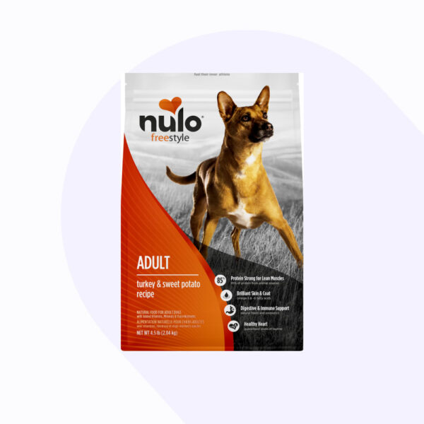nulo-pavo-adulto