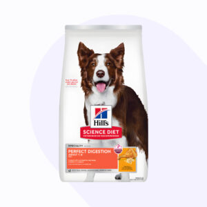 perfect-digestion-perro-adulto