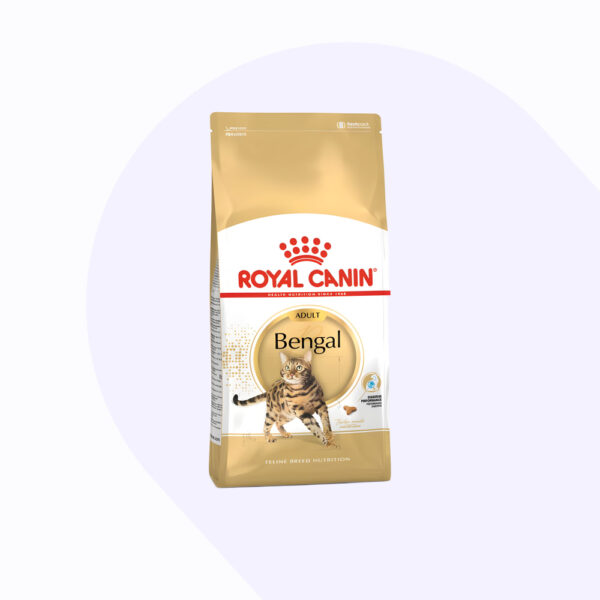royal-canin-bengala-adulto