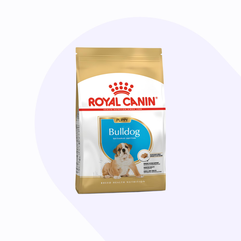 royal-canin-bulldog-ingles-puppy