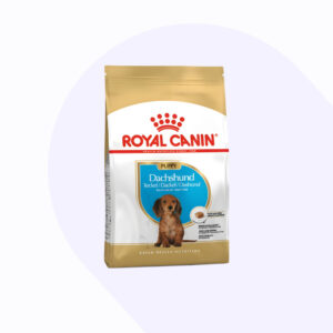 royal-canin-dachshund-puppy