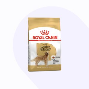 royal-canin-golden-retriever-adulto