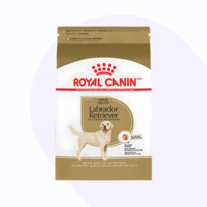 royal-canin-labrador-adulto-13-6-kg