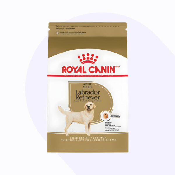 royal-canin-labrador-adulto-13-6-kg