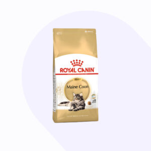royal-canin-maine-coon-adulto