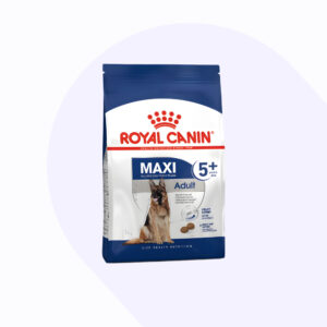 royal-canin-maxi-adult-5-