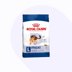 royal-canin-maxi-adulto