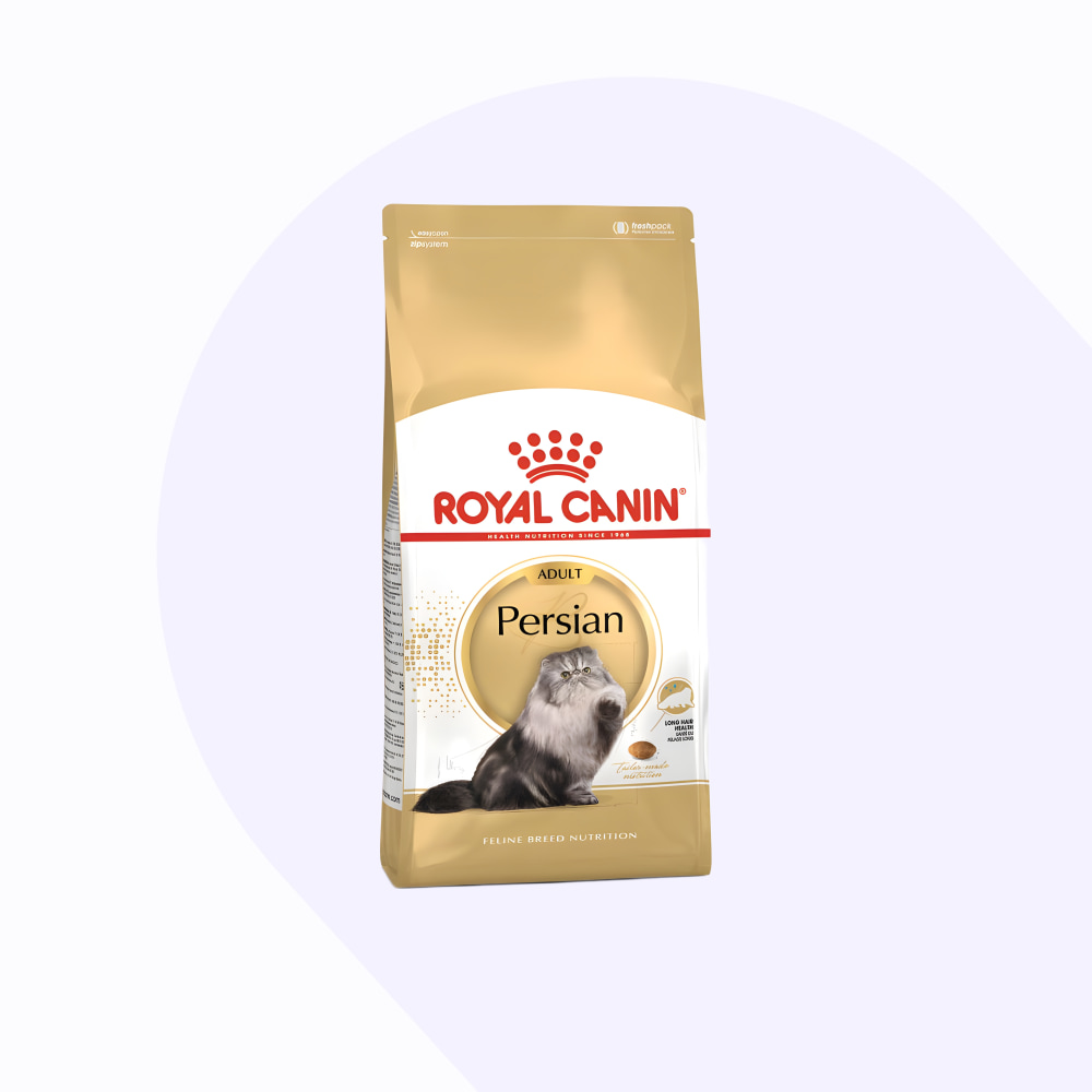 royal-canin-persian-adulto