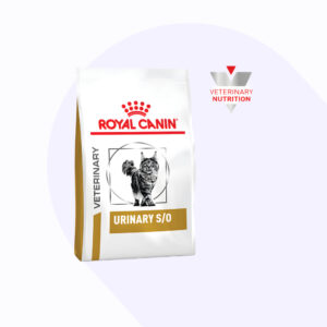 royal-canin-urinary-s-o-gato