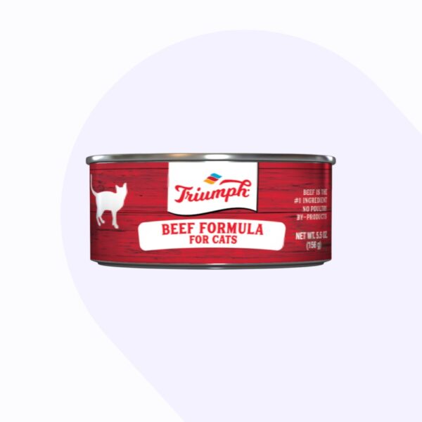 triumph-wild-spirit-gatos-carne