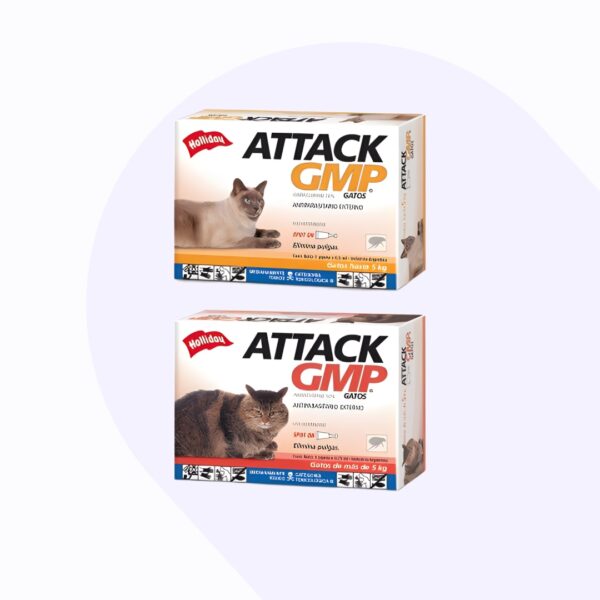 attack-gatos-gmp