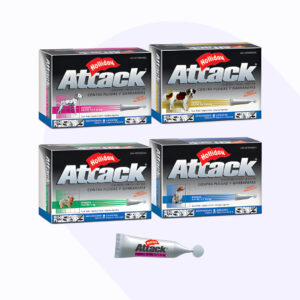 attack-perros