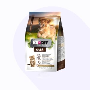 br-for-cat-kitten