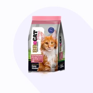 br-for-cat-salmon