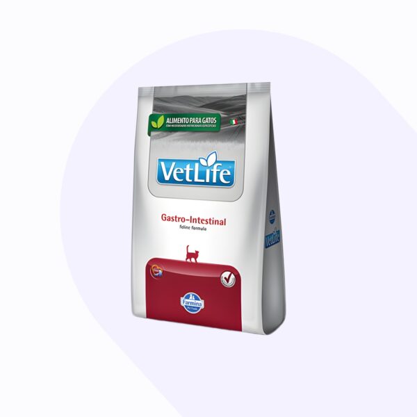gastrointestinal-gato-2-kg
