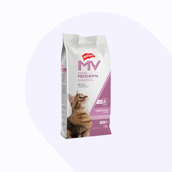 gato-obesidad-2-kg