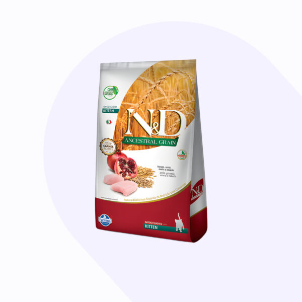 n-d-kitten-pollo