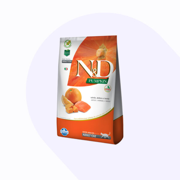 nd-pumpkin-gato-salm-n