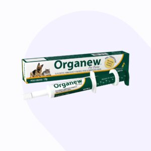 organew-pasta-pet